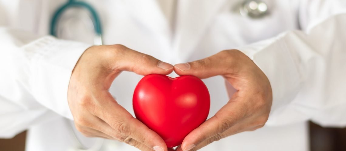 Cardiovascular disease doctor or cardiologist holding red heart in clinic or hospital exam room office for csr professional medical service, cardiology health care and world heart health day concept